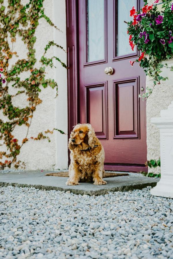 Abbeyview House Bed and Breakfast Abbeyshrule Buitenkant foto